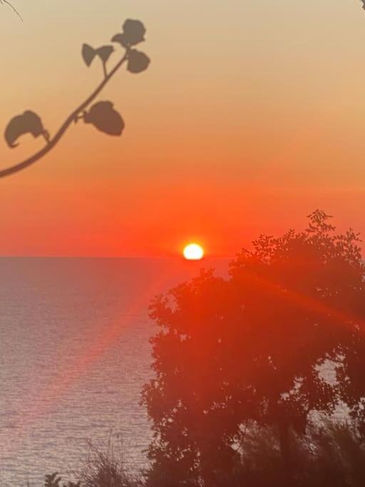 Ferienwohnung La Gemma Di Orrico Anacapri  Exterior foto