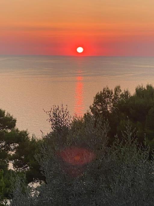 Ferienwohnung La Gemma Di Orrico Anacapri  Exterior foto