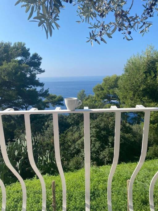 Ferienwohnung La Gemma Di Orrico Anacapri  Exterior foto